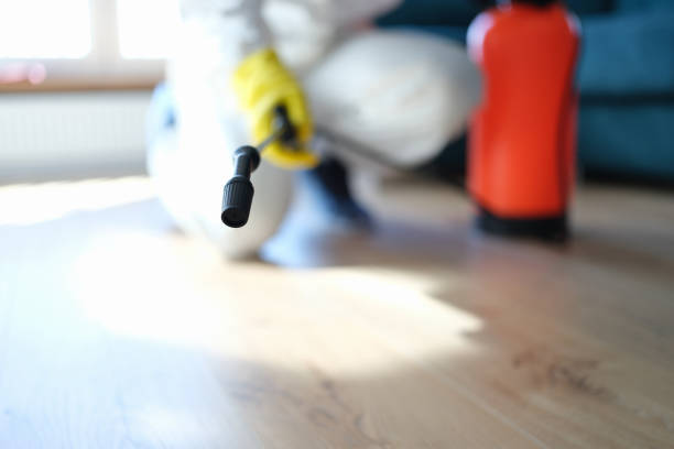 Best Dehumidification Services  in Rushville, IN